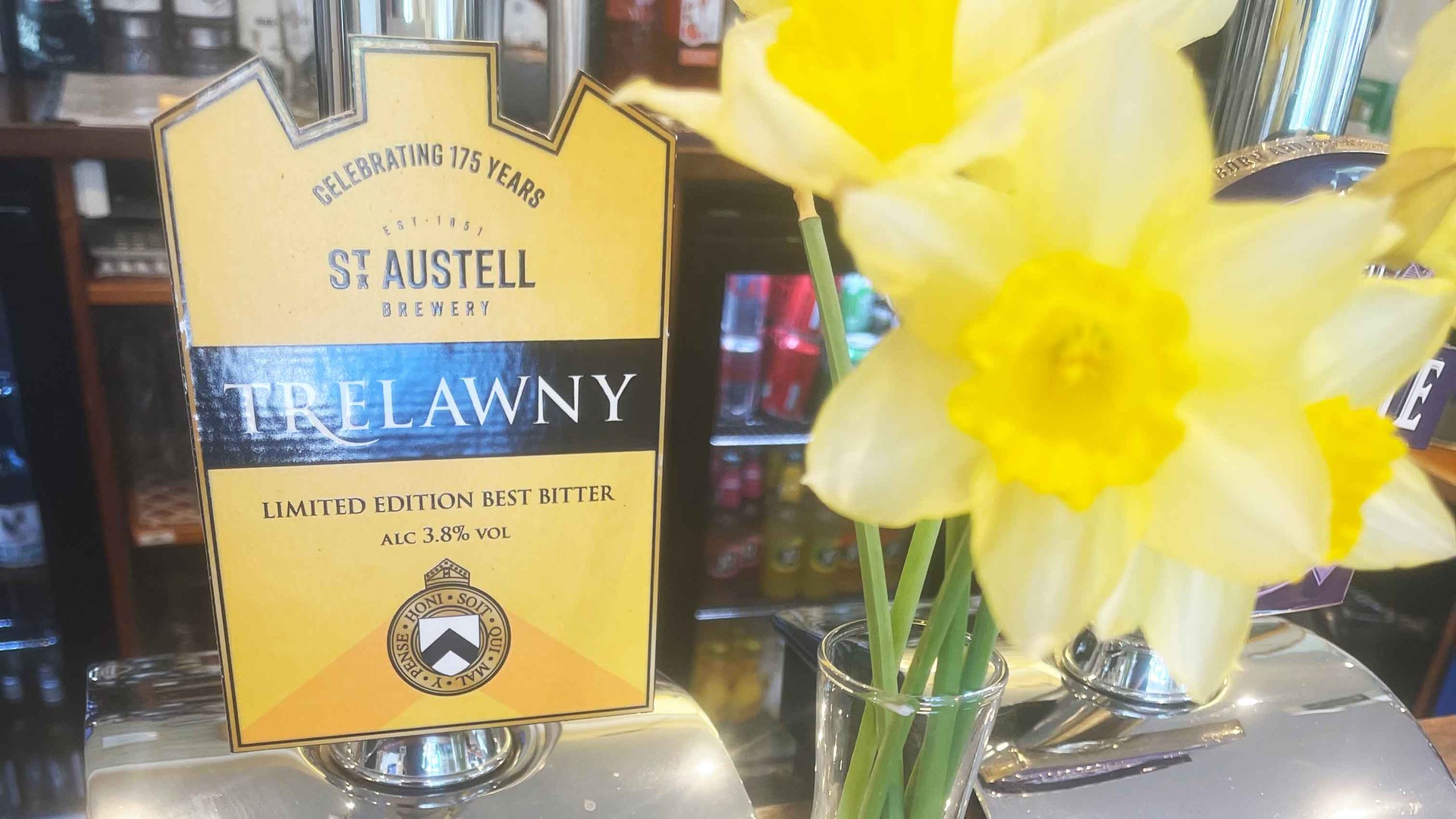 Featured image for “New St Austell Beer – Trelawny”